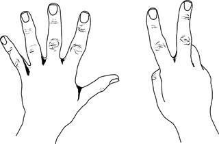 7 on fingers