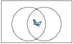 sample problem: intersection is
          a blue bird