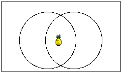 sample 5: intersection is a pineapple